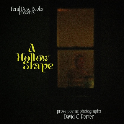 Cover of A Hollow Shape by David C. Porter