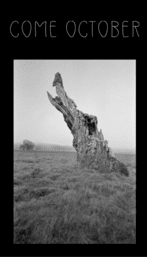 Cover of Come October by Damien Ark
